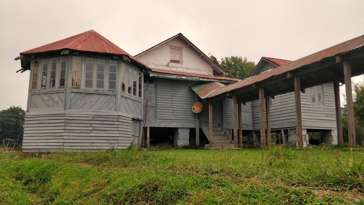 Black Bear Cottage Khajjiar Esterno foto
