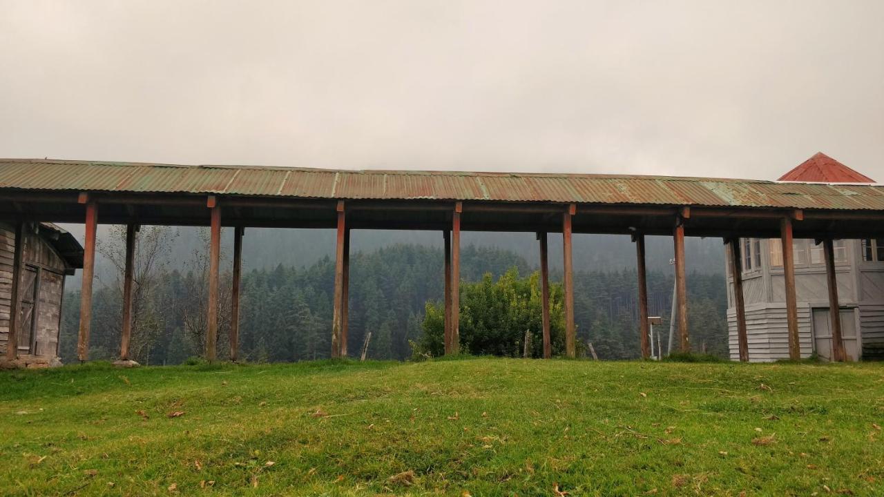 Black Bear Cottage Khajjiar Esterno foto