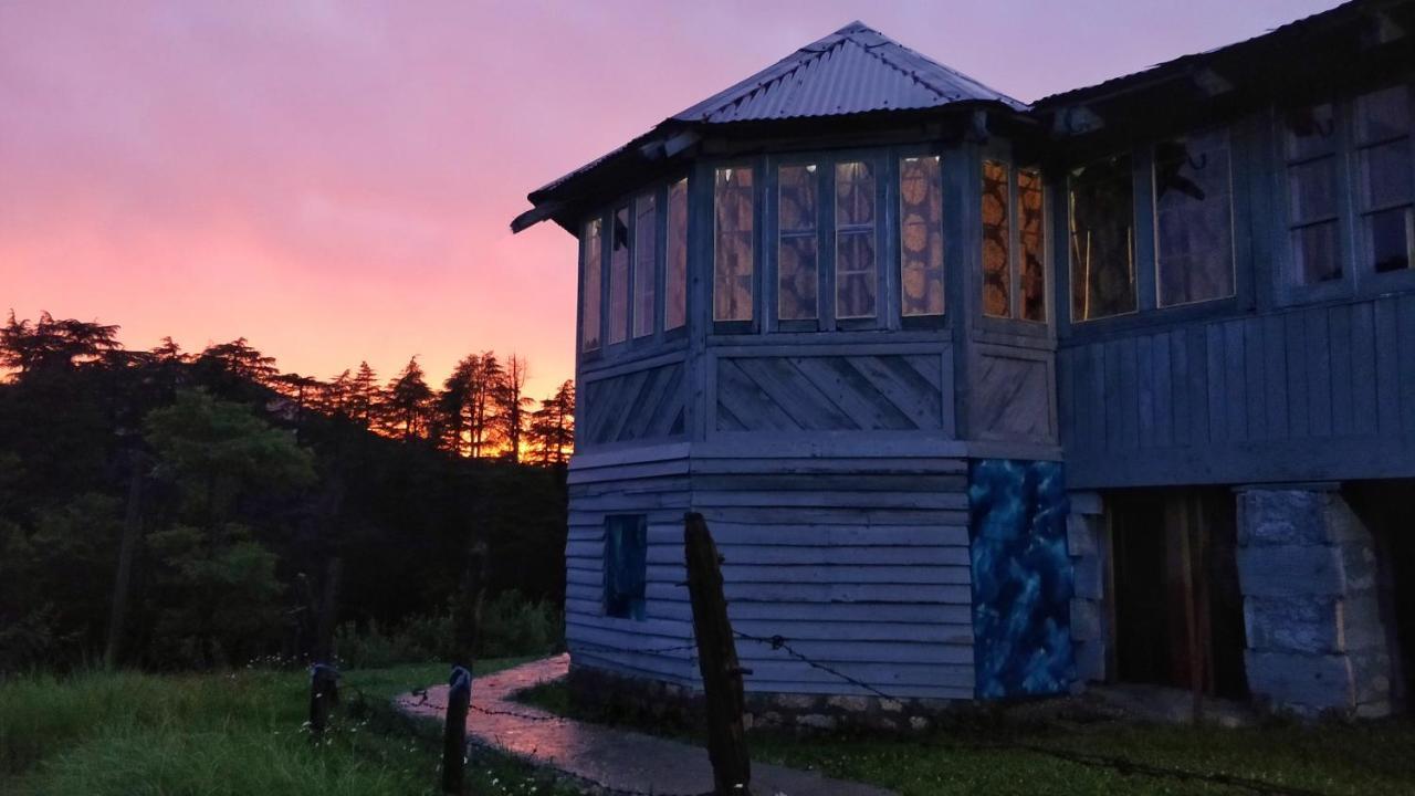 Black Bear Cottage Khajjiar Esterno foto