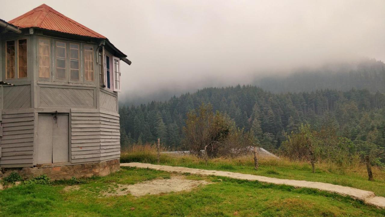 Black Bear Cottage Khajjiar Esterno foto