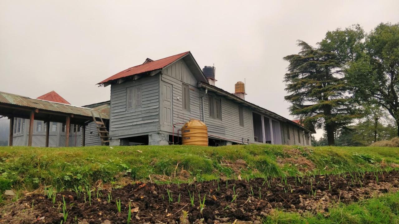 Black Bear Cottage Khajjiar Esterno foto