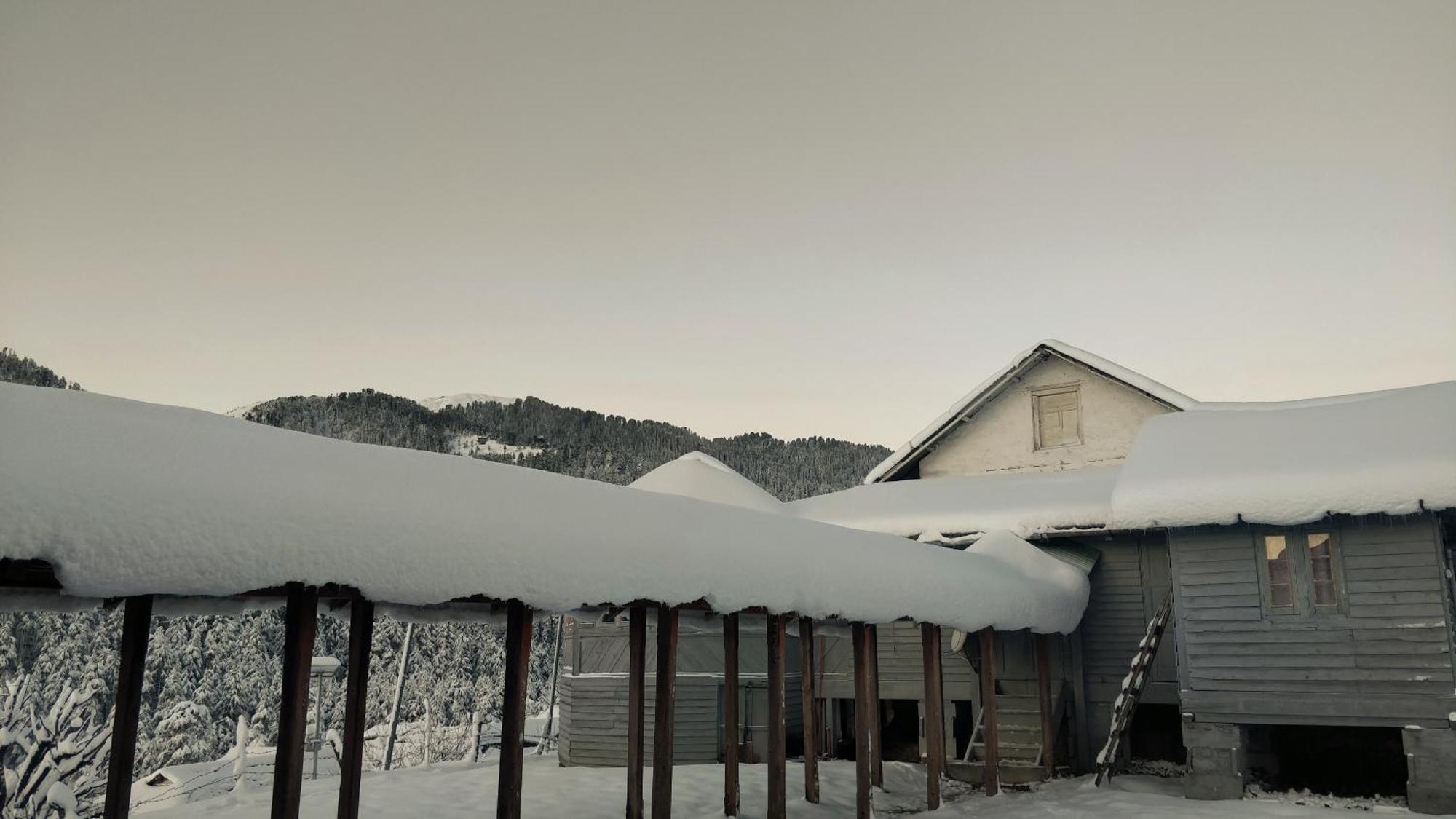 Black Bear Cottage Khajjiar Esterno foto